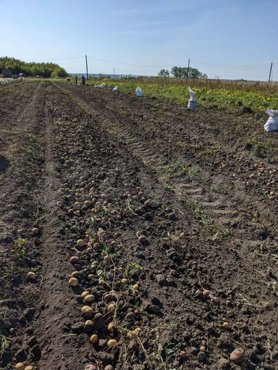 Дом 42 м² на участке 15 сот.