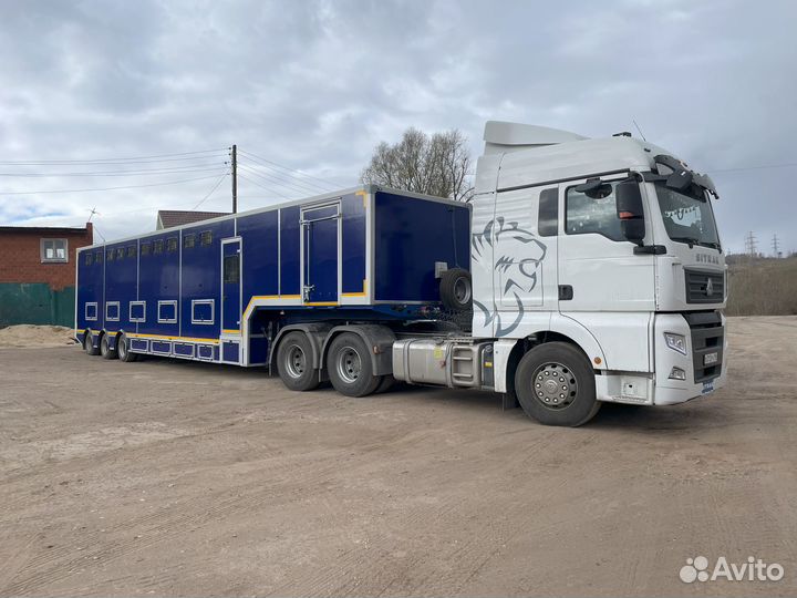 Прицеп для перевозки лошадей на 10 голов