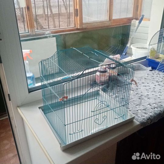 Клетка для крыс