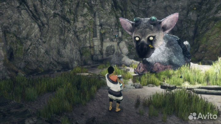 The Last Guardian PS4/PS5 Лицензия