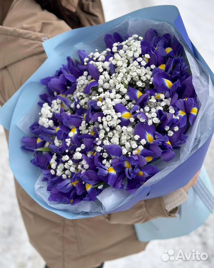 Букеты из Ирисов. Букеты на Любой Повод/Праздник