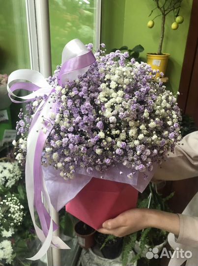 Композиции из гипсофилы