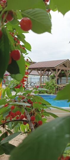 Комната 35 м², 1/4 эт.