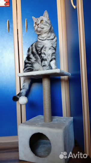Домик для кошки с когтеточкой