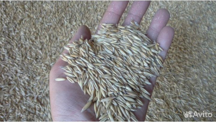 Продаю корма для животных