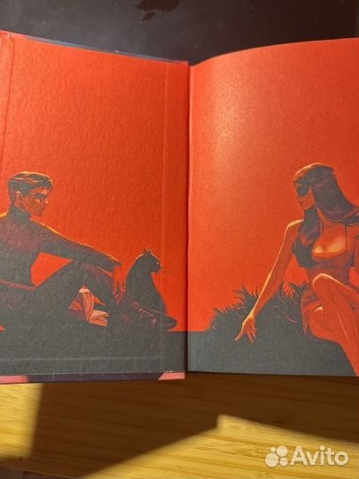 Восхитительная ведьма подарочное издание