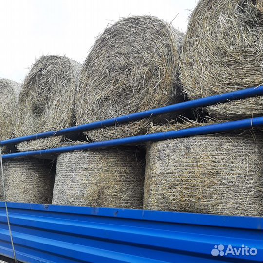 Сено с доставкой