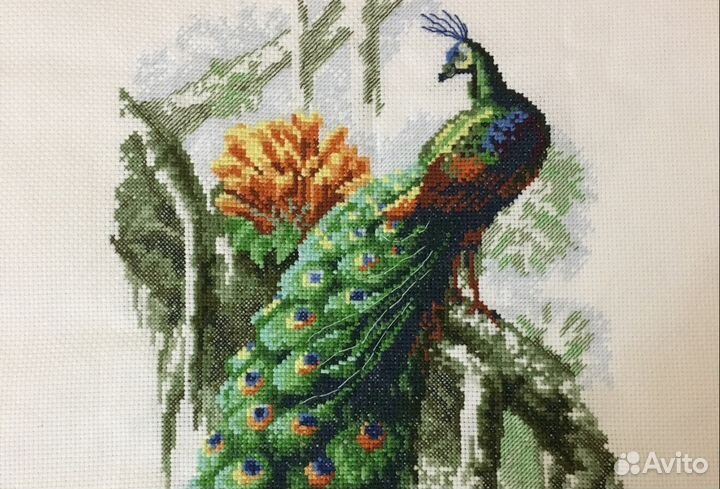 Картина вышитая крестиком Павлин»
