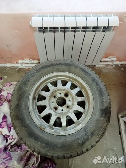 Accelera Delta 5.10/9.5 R13