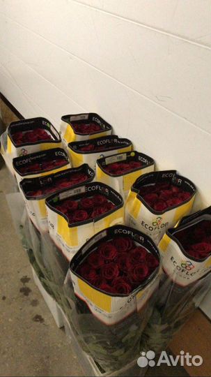 Красные розы эквадор 90 см с доставкой