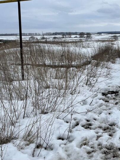 Участок 38 сот. (ИЖС)