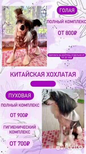 Стрижка собак - Груминг