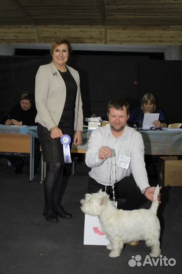 Вязка мальчик