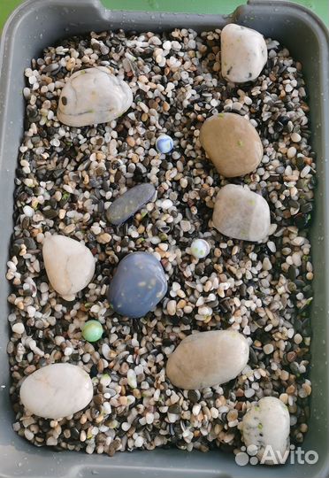 Для аквариума и террариума: грунт +камни, ракушки