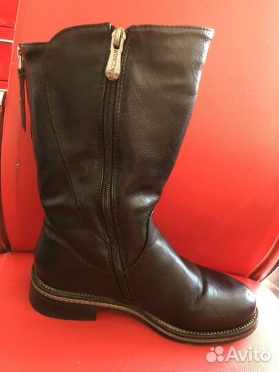 Сапоги демисезонные