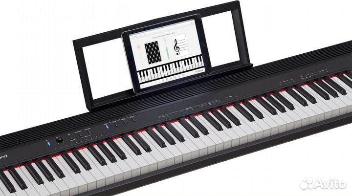 Roland GO-88P электропиано, 88 клавиш, 128