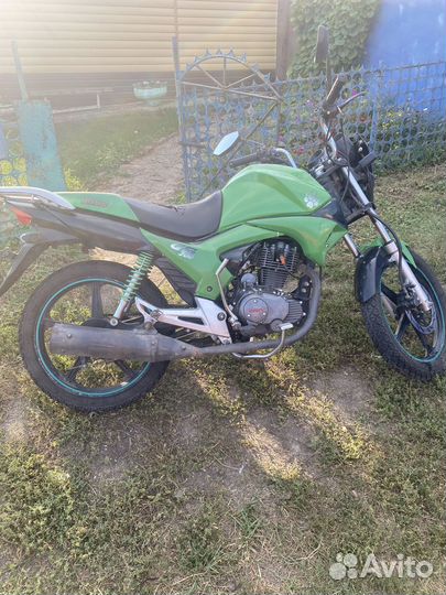 Irbis gs200