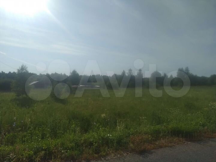 Участок 53 га (СНТ, ДНП)