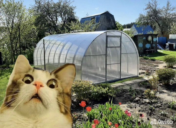 Теплица усиленная