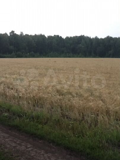 Участок 2 га (СНТ, ДНП)