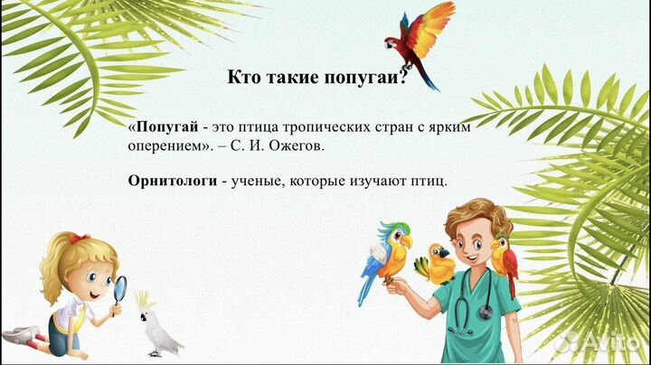 Презентации для школьников PowerPoint