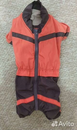 Комбинезон для не большой собачки