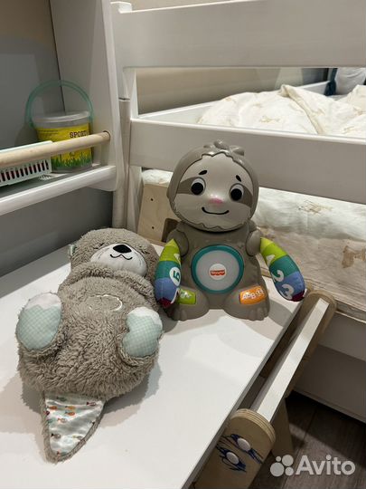 Ленивец и выдра