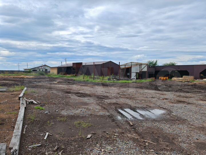 Участок 50 сот. (промназначения)