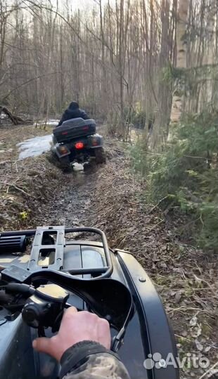 Прокат квадроциклов