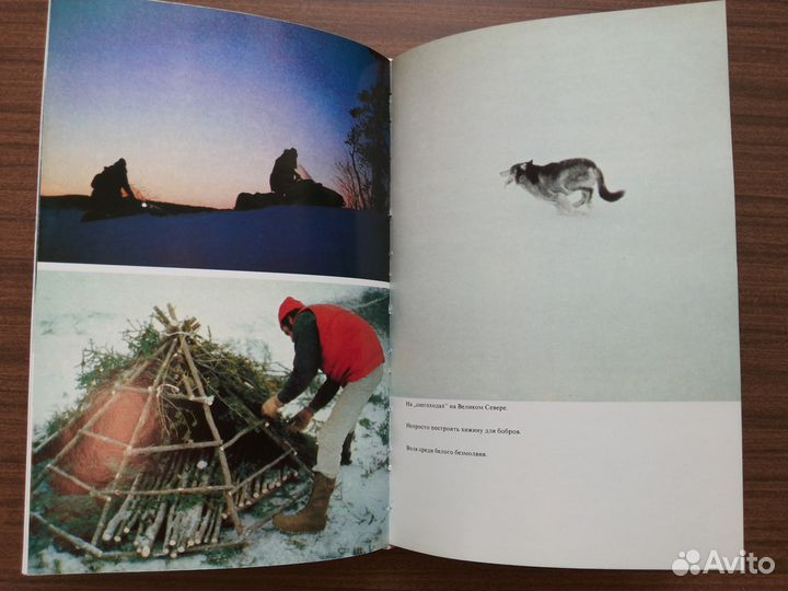 Книга Ж. И. Кусто Лососи. Бобры. Каланы