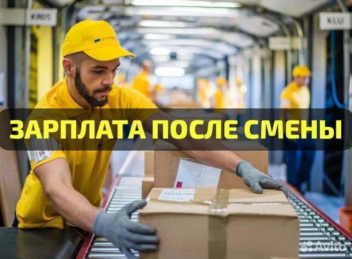 Подработка с ежедневной оплатой