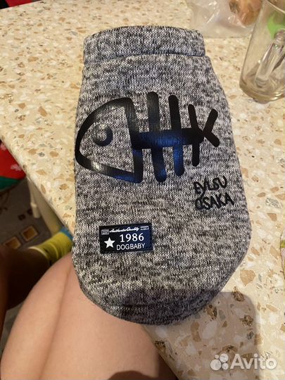 Кофточка доя маленькой сабачки