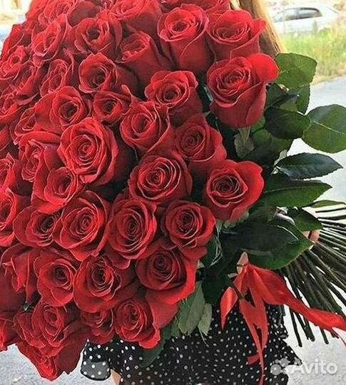 Высокие розы Гигантские розы с доставкой