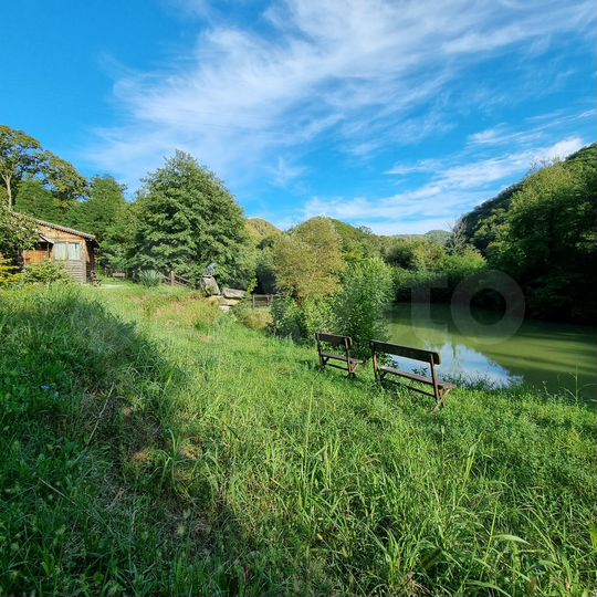 Участок 33,5 сот. (СНТ, ДНП)