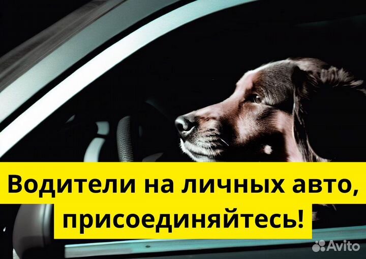 Ищем водителей на своих авто в Яндекс.Go