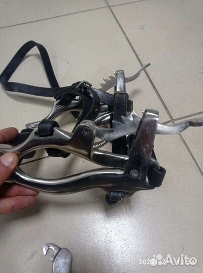 Зевник для животных