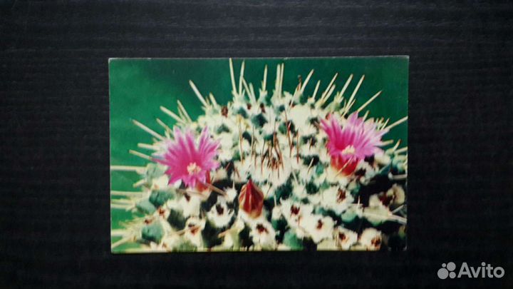 Комплект открыток 