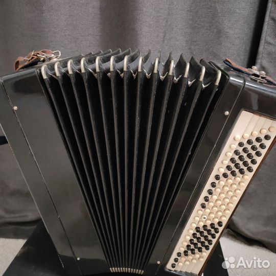 Баян тульский