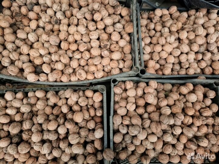 Грецкий орех очищенный