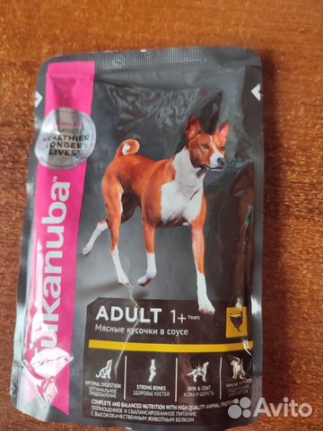 Влажный корм для собак от года