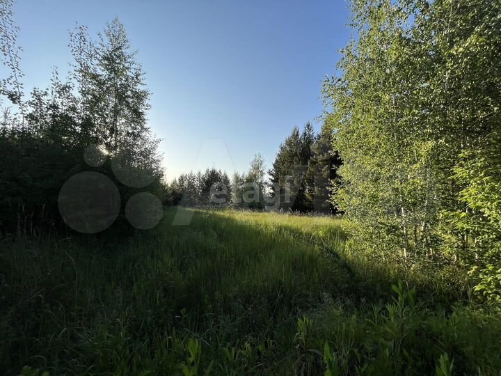 Участок 9 сот. (СНТ, ДНП)