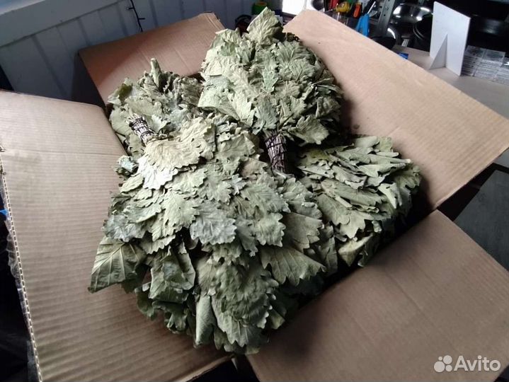 Банные веники