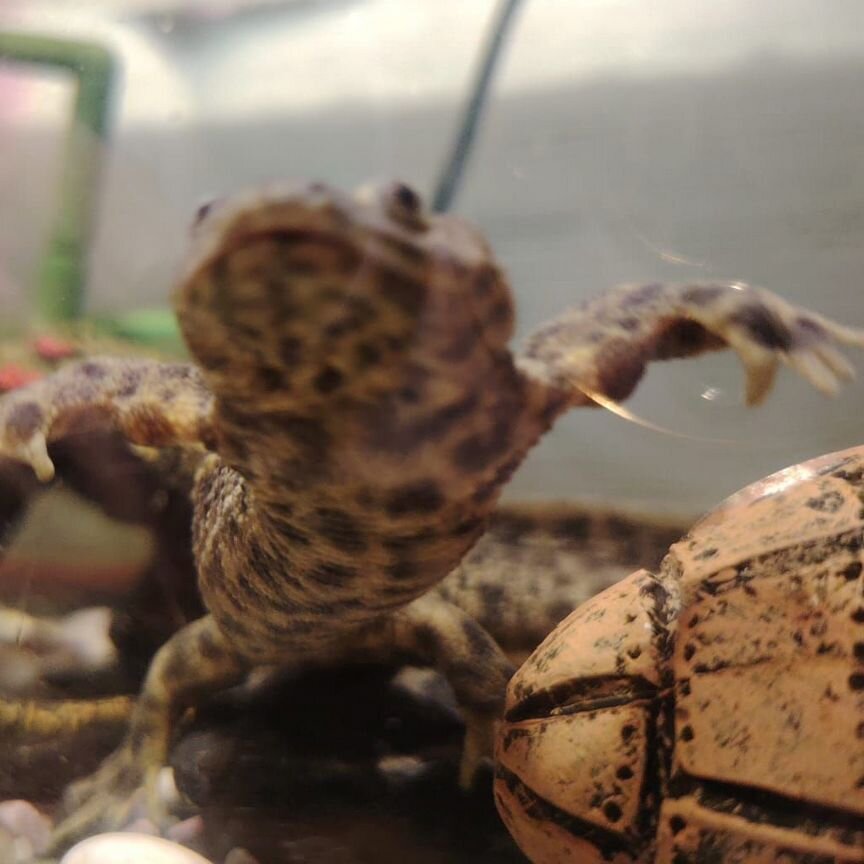 Korporativ porno tomosha qiling