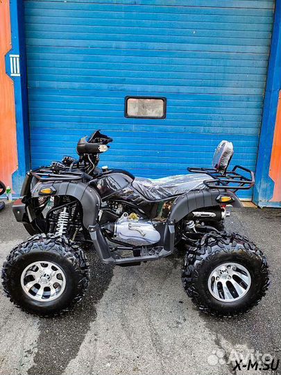 Grizzly 200
