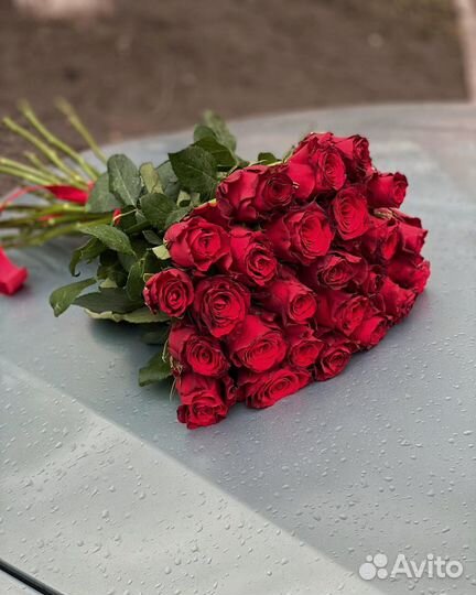 Букеты из роз 15/25/51/101 шт