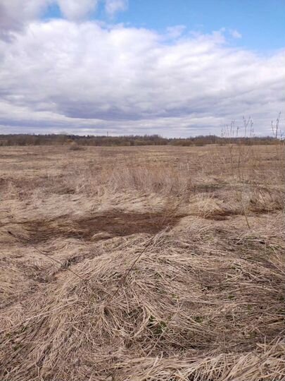 Участок 15 сот. (ИЖС)