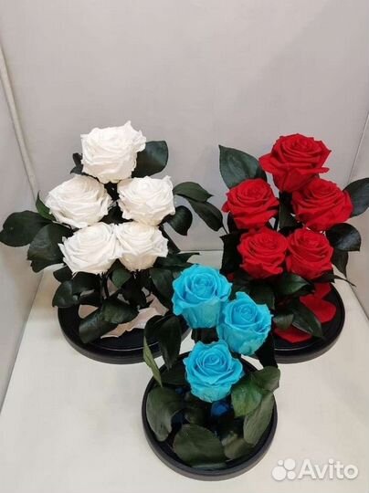Цветы оптом