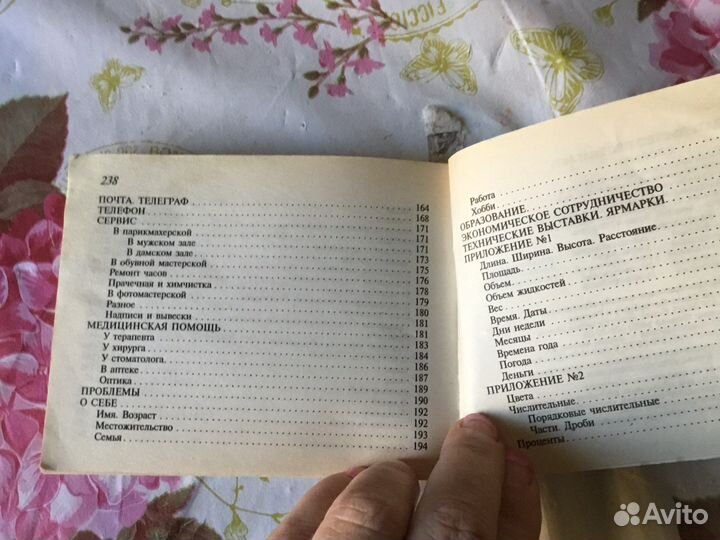 Английский- русский разговорник и словарь