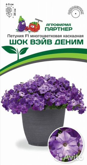 Рассада петунии от фирмы партнёр