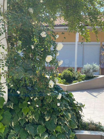 Торговая площадь, 47.8 м²